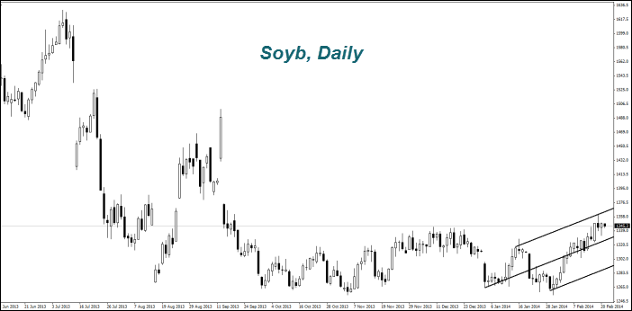 Soyb, Daily