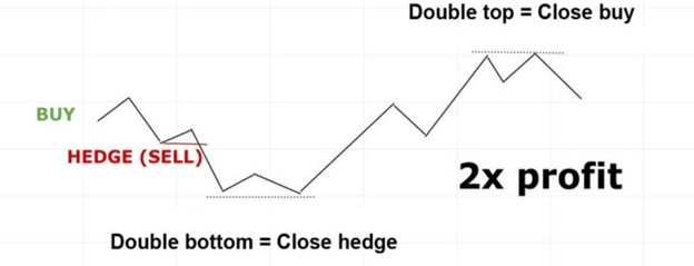 2X profit through Forex hedging