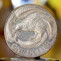 NZD/USD Rebounds amid Global Economic Ambiguities