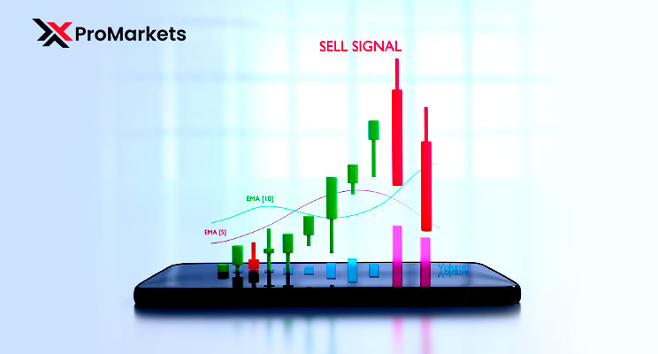 What are Forex Trading Signals?