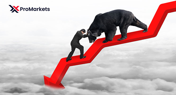 XPro Markets: Facing the Bear