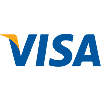 Is Visa the reliably volatile stock every trader is looking for?