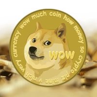 Who Owns the Most Dogecoin?