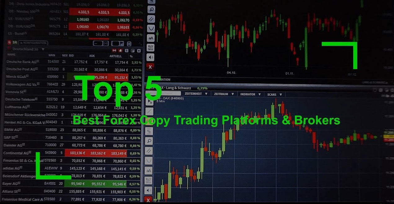 Top 5 Forex brokers for copy trading