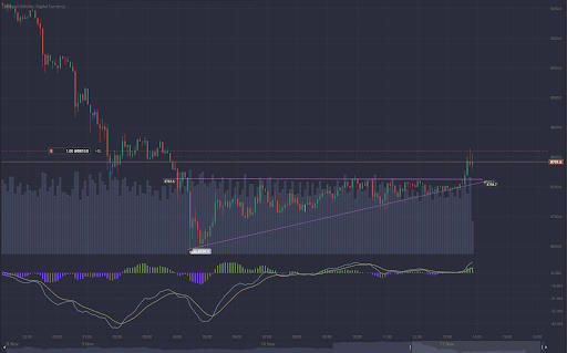 Technical analysis primarily focuses on charts, trendlines, and timelines.