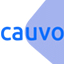 Cauvo Capital Information and Review